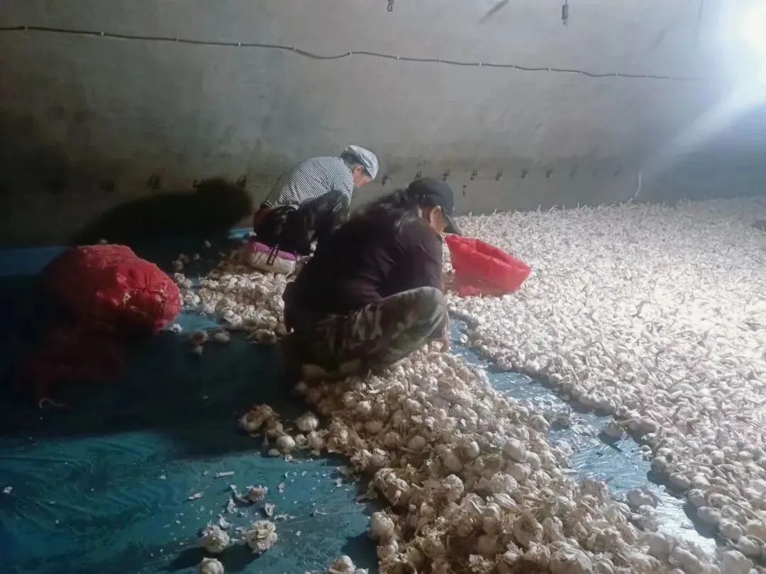 1679035257156843.jpg 微信圖片_20230317144120.jpg